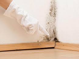 Why You Should Choose Our Mold Remediation Services in Pompton Lakes, NJ